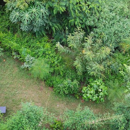 Osho Villa Guest House Jaipur Luaran gambar